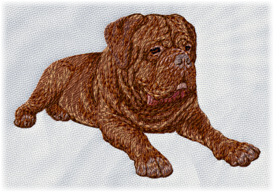 Dogue De Bordeaux