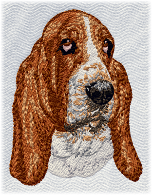 Basset Hound