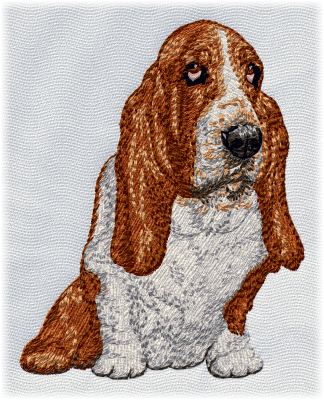 Basset Hound