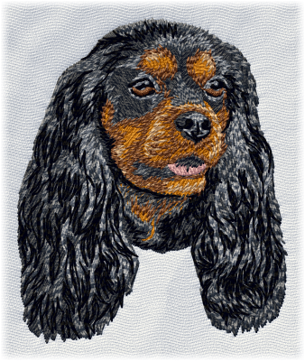 Cavalier King Charles Spaniel