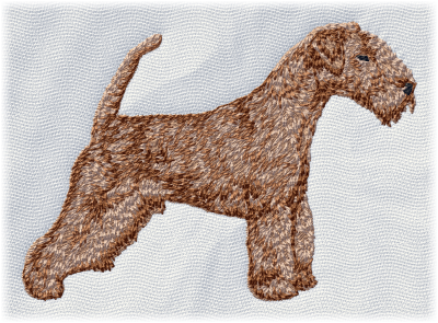 Lakeland Terrier