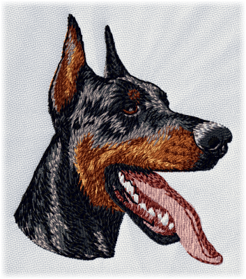 Dobermann