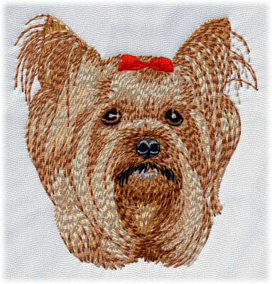 Yorkshire Terrier