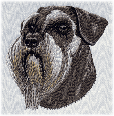 Schnauzer