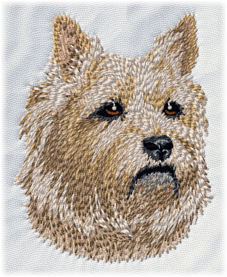 Cairn Terrier