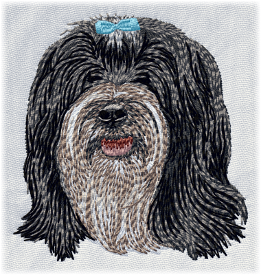 Tibetan Terrier