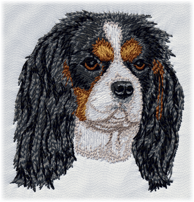 Cavalier King Charles Spaniel