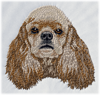 American Cocker Spaniel