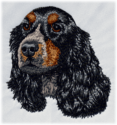 English Cocker Spaniel