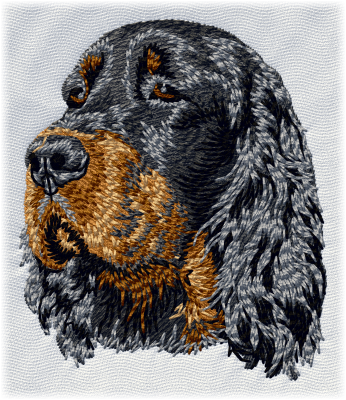 Gordon Setter