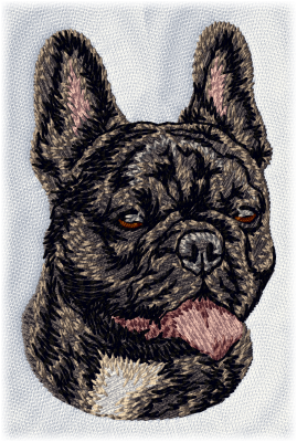 French Bulldog