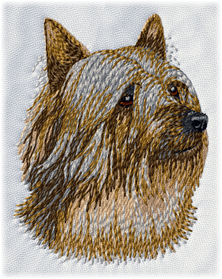 Australian Silky Terrier