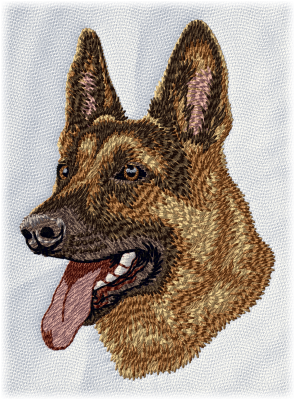 German Shepherd