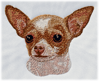 Chihuahua