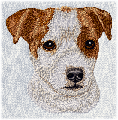 Jack Russell Terrier