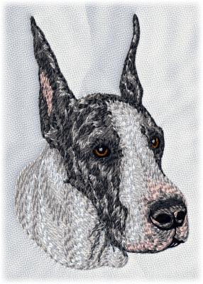 Great Dane