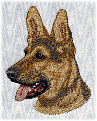 German Shepherd