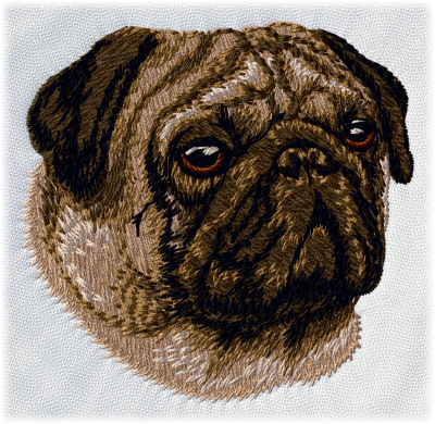 Pug