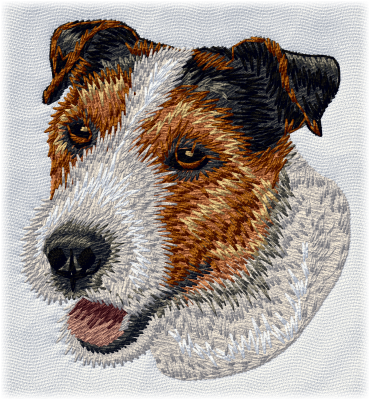 Jack Russell Terrier